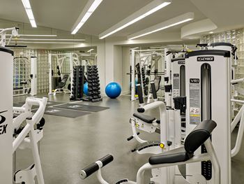 State-of-the-art cardio and weight equipment